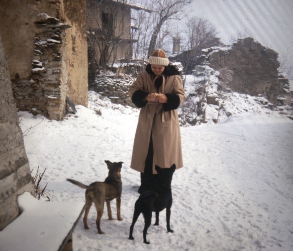 ../Images/DIAPPOSITIVE 6x6 446.jpg